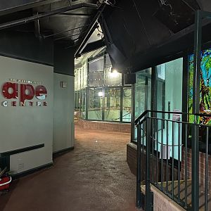 Ape Centre indoors 050224