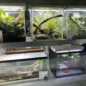 Amphibian Ark exhibits 050224