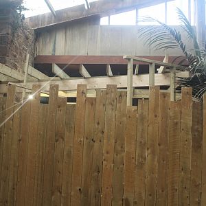 Construction work in Tropical house