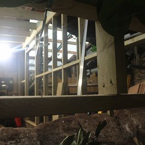 Construction work in Tropical House