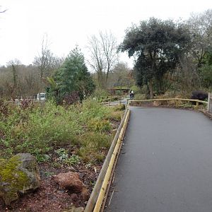 Walkway through former Brookside Aviary 050224