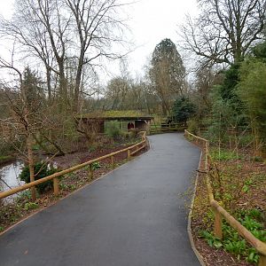 View towards Sumatran tiger enclosure 050224