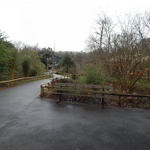 View back towards entrance from Sumatran tiger enclosure 050224