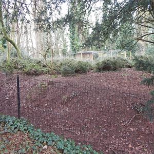 Southern cassowary enclosure no.1 050224