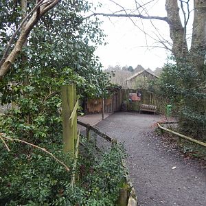 Viewing point for Lion enclosure 050224