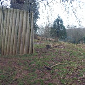 Lion enclosure 050224