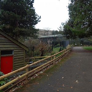 View towards aviaries opposite Avian Breeding Centre 050224