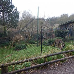 Aviary for Southern screamers/Toco toucan 050224