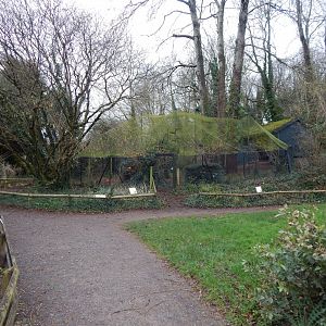 Aviary for Scarlet ibis and Oriental white stork 050224
