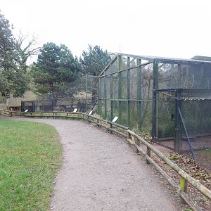 Aviaries opposite Avian Breeding Centre 050224