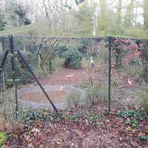 Aviaries for Scarlet ibises/Oriental white stork 050224