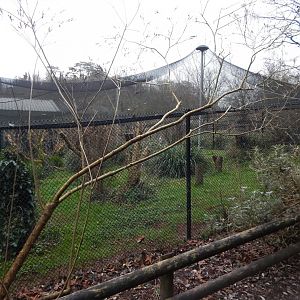 Secretary bird aviary 050224