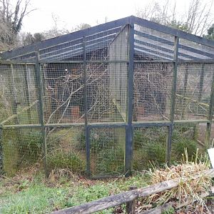 Black hornbill aviary and Malaysian great argus aviary 050224