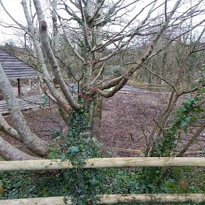 New development opposite Eastern bongos 050224