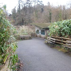 View towards Pied tamarin enclosure 050224