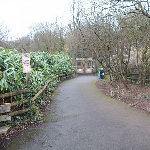 View towards Lemur Wood 050224