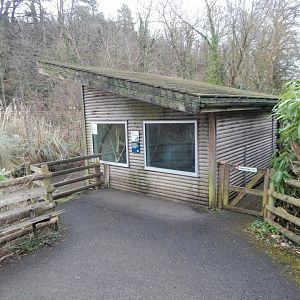 Pied tamarin enclosure 050224