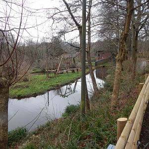 Bornean orangutan enclosure 050224