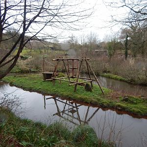 Bornean orangutan enclosure 050224