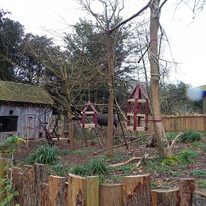 Binturong enclosure 050224