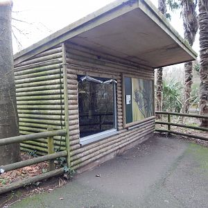 Cotton-top tamarin enclosure 050224