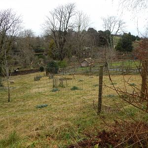 Ouessant sheep enclosure 050224