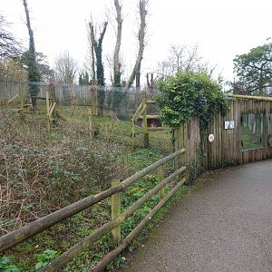 South African cheetah enclosure 050224