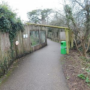 Walkway next to South African cheetah enclosure 050224