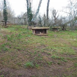 South African cheetah enclosure 050224