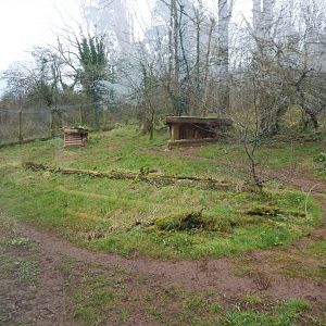 South African cheetah enclosure 050224