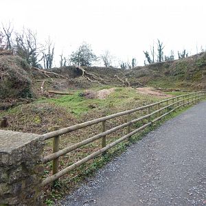 Possible future development next to Takins 050224