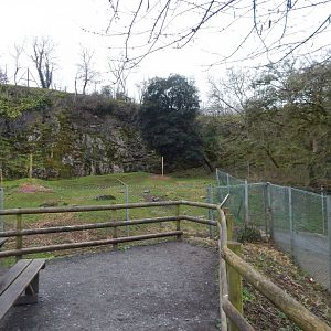 Mishmi takin enclosure 050224