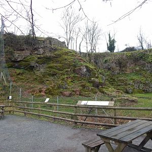 Mishmi takin enclosure 050224