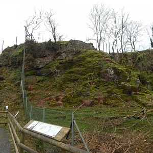 Mishmi takin enclosure 050224