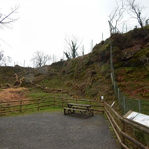 Area next to Mishmi takins - under development 050224