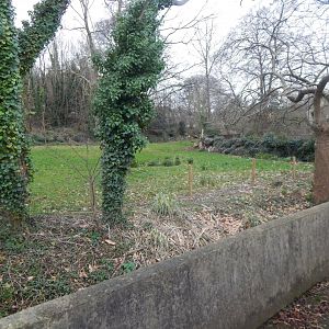 Eastern black rhinoceros enclosure 050224