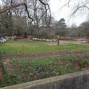 Eastern black rhinoceros enclosure 050224