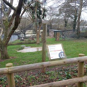 Wattled crane enclosure 050224