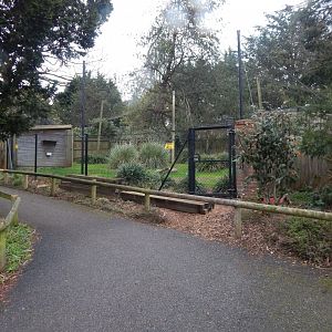 Former Oriental stork aviary 050224