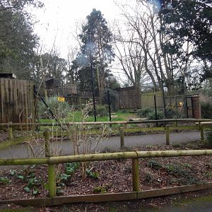 Former aviary for Oriental white storks 050224