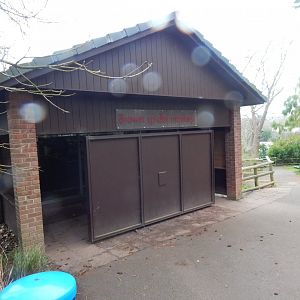 Colombian brown spider monkey enclosure 050224