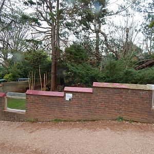 Nepalese red panda enclosure 050224