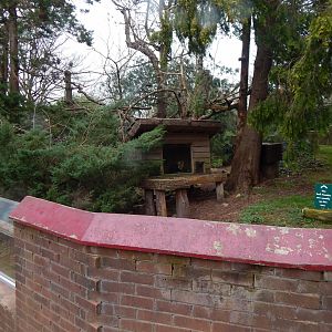 Nepalese red panda enclosure 050224