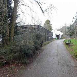 Cottage Aviary 050224