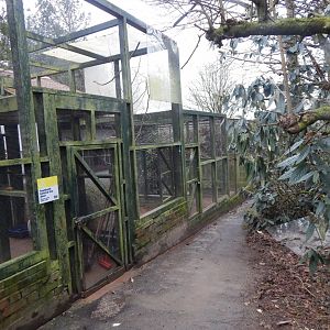 Off-show aviaries next to Cottage Aviary 050224