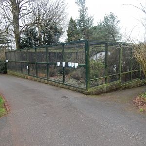 Cottage Aviary 050224