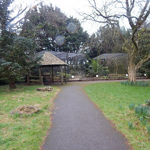 Aviaries opposite Cottage Aviary 050224