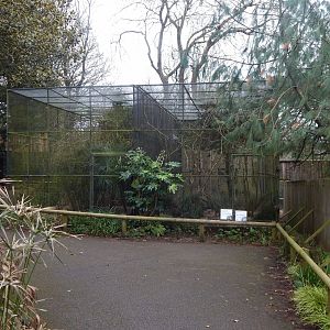 Aviaries 050224