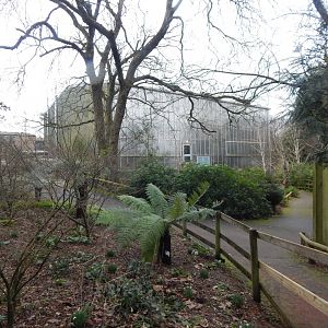 Now closed Crocodile Swamp 050224