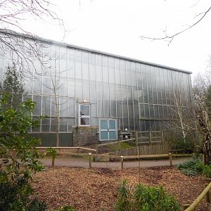 Now closed Crocodile Swamp (steps removed) 050224